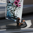 view from the zoo...animal picture magnets