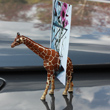 view from the zoo...animal picture magnets