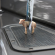 view from the farm...animal picture magnets