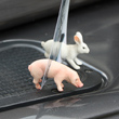 view from the farm...animal picture magnets