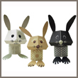 the carrot crew