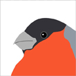 Ann Nystrom bullfinch greeting card
