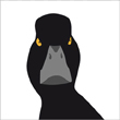 Ann Nystrom tufted duck greeting card