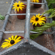galvanised trough